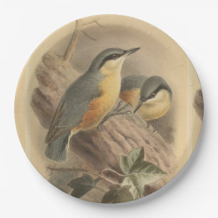 Plato De Papel Ilustracion vintage de Nuthatch