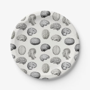 Plato De Papel Ilustraciones de Anatomía Cerebral Biología