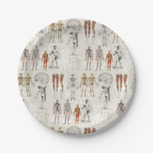 Plato De Papel Ilustraciones de la biología de la anatomía veneci