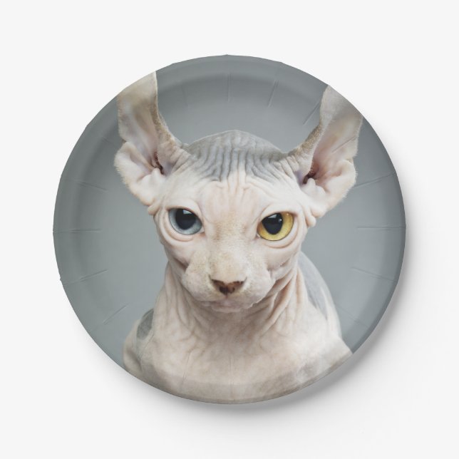 Plato De Papel Imagen de la fotografía del gato de la esfinge del (Anverso)