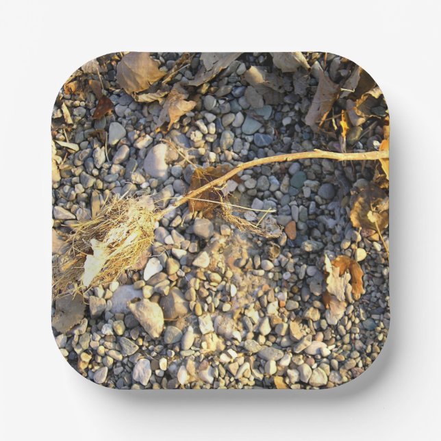 Plato De Papel Impresión otoñal (Anverso)