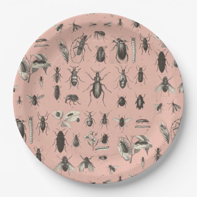 Plato De Papel Insectos de Yikes en mi placa (Anverso)