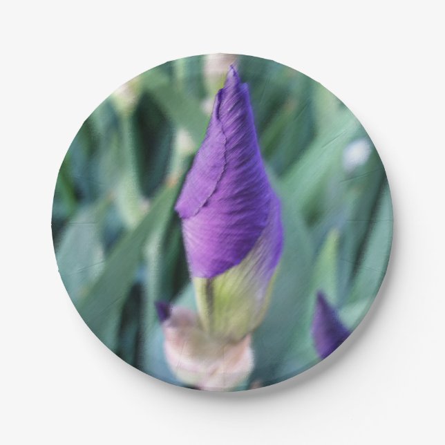 Plato De Papel iris bud púrpura (Anverso)