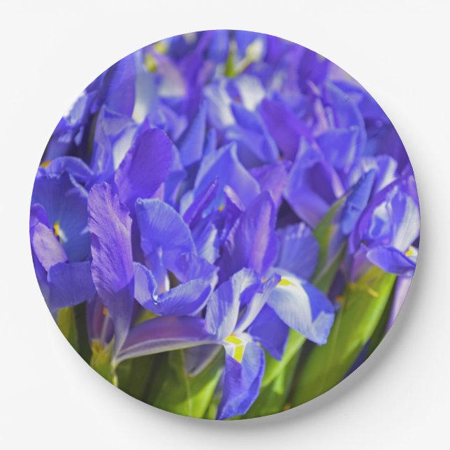 Plato De Papel Iris de primavera (Anverso)