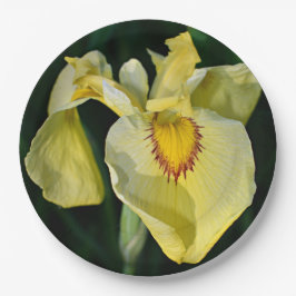 Plato De Papel Iris Floral amarillo japonés