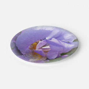 Plato De Papel iris morado