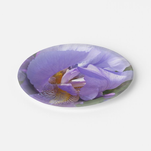 Plato De Papel iris morado (Angular)