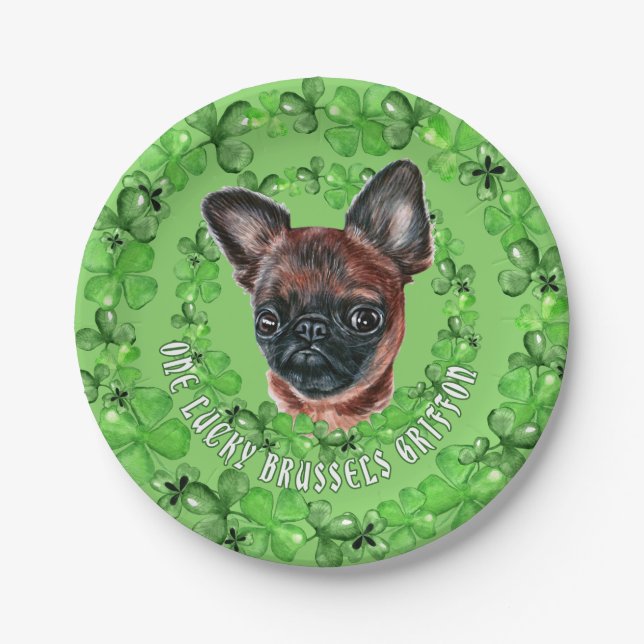 Plato De Papel Irish Brussels Griffon (Anverso)