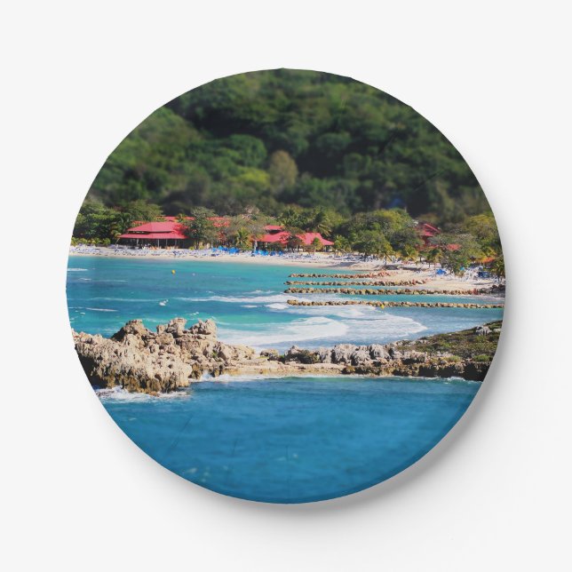 Plato De Papel Isla Tranquila Paraíso Labadee Haití (Anverso)