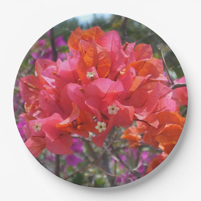 Plato De Papel Isla Tropical Rosa Bougainvillea Floral (Anverso)