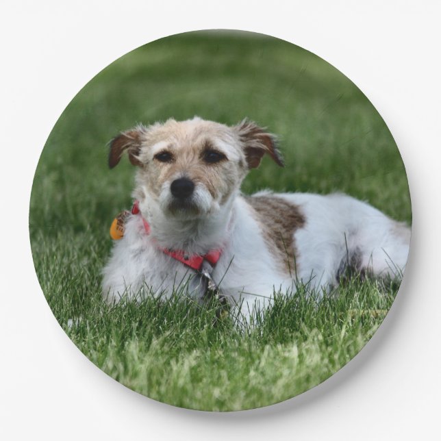 Plato De Papel Jack (Anverso)