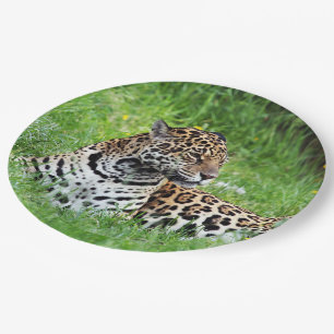 Plato De Papel Jaguar
