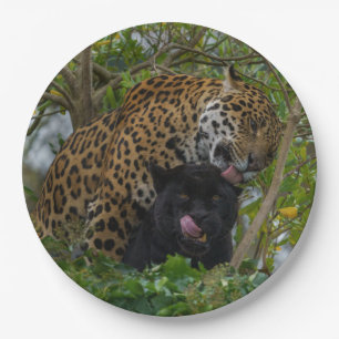 Plato De Papel Jaguares enamorados