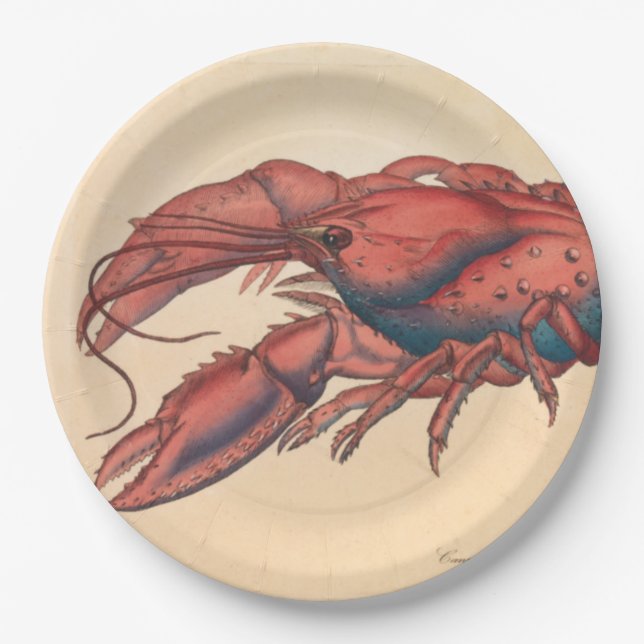 Plato De Papel James Sowerby Serrate Lobster (Anverso)
