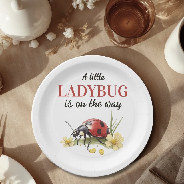 Plato De Papel Jardín Rústico Daisy Little Ladybug Baby Shower (Subido por el creador)