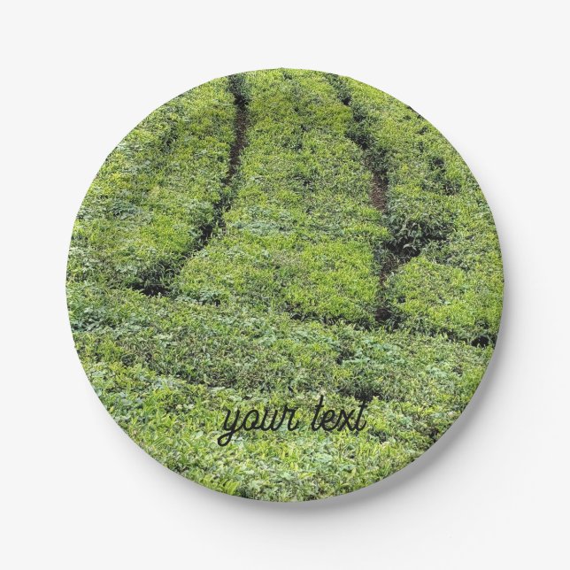 Plato De Papel Jardines de té de Munnar en  (Anverso)