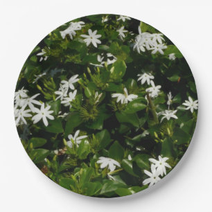 Plato De Papel Jazmín Flores Tropicales Florales Botánicas