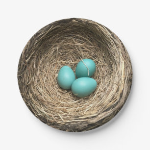 Plato De Papel Jerarquía de los pájaros con los huevos azules