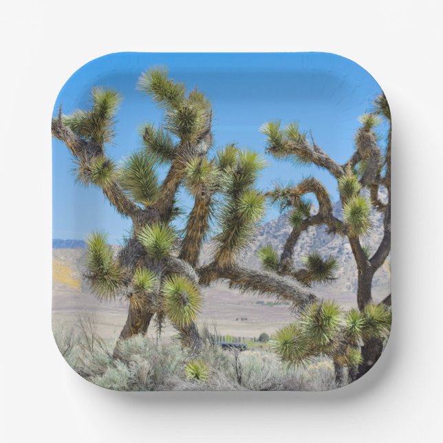 Plato De Papel Joshua Tree en California (Anverso)