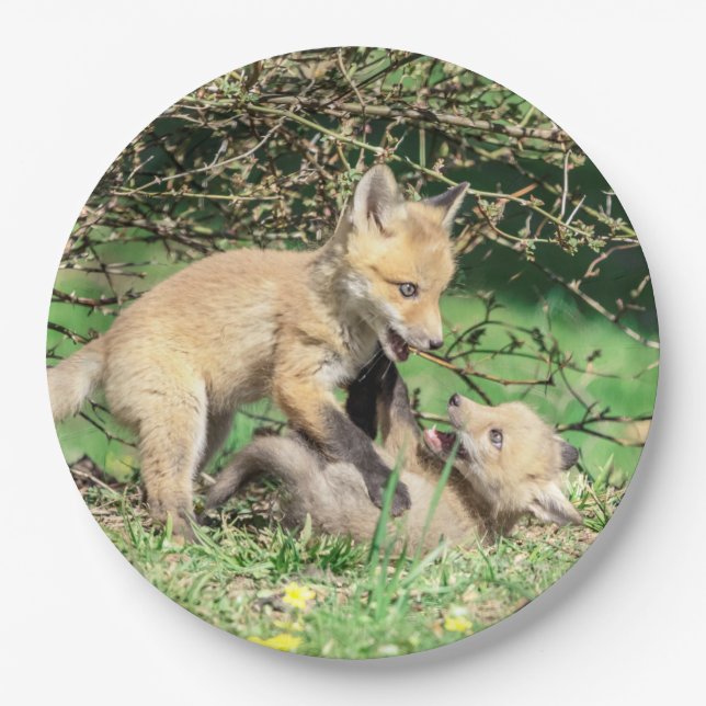 Plato De Papel Juego de Red Fox Kits (Anverso)