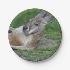 Plato De Papel Kangaroo