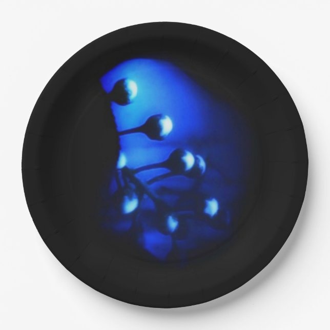 Plato De Papel Kate (Anverso)