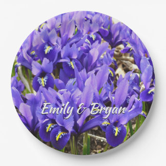 Plato De Papel Katherine Hodgkin Iris Purple Spring Floral