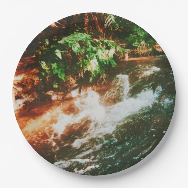 Plato De Papel Kerosene Creek, Rotorua, Nueva Zelanda (Anverso)