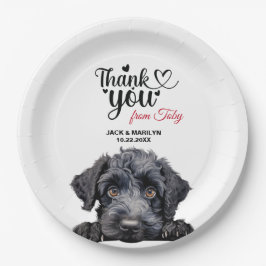 Plato De Papel Kerry Blue Terrier