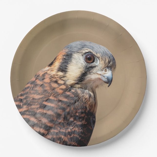 Plato De Papel Kestrel americano (Anverso)