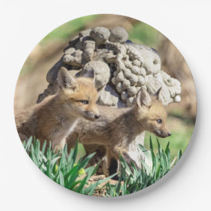 Plato De Papel Kits de Fox en el Valle de Hudson