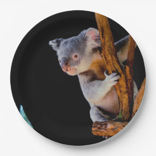 Plato De Papel Koala Cute en gris árbol