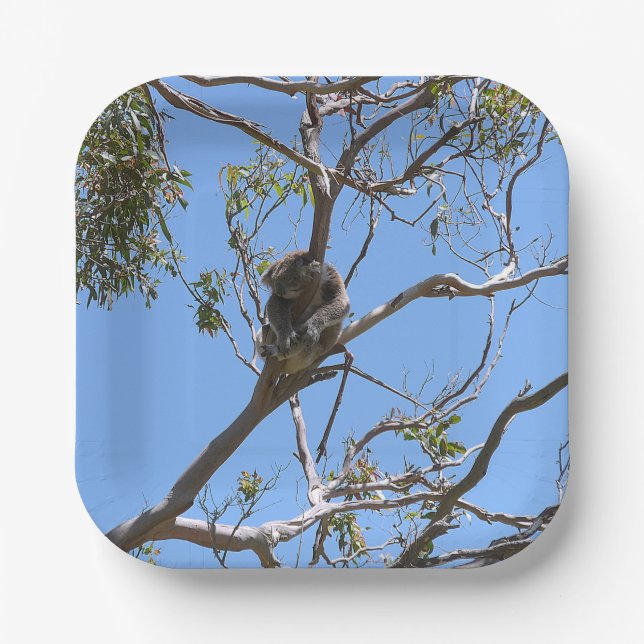 Plato De Papel Koala Nap (Anverso)