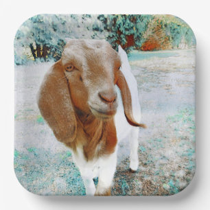 Plato De Papel La cabra más guapa - Placa de papel
