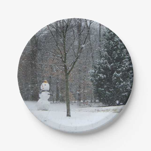 Plato De Papel La escena de nieve en invierno de los nevados del  (Anverso)