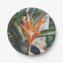 La hierba perenne de la Heliconia de pico de loro