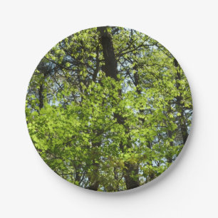 Plato De Papel La naturaleza de las hojas de arce de primavera