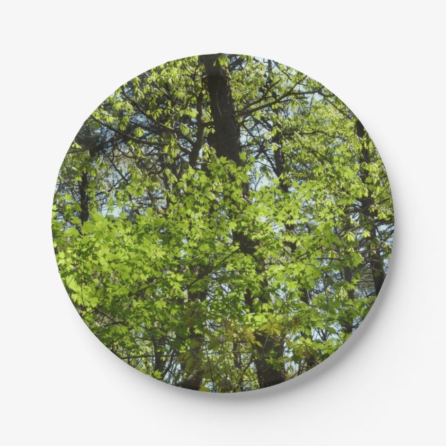 Plato De Papel La naturaleza de las hojas de arce de primavera (Anverso)