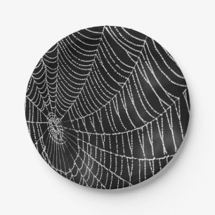 Plato De Papel La telaraña cubierta por dew