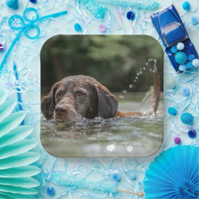 Plato De Papel Laboratorio (Fiesta)