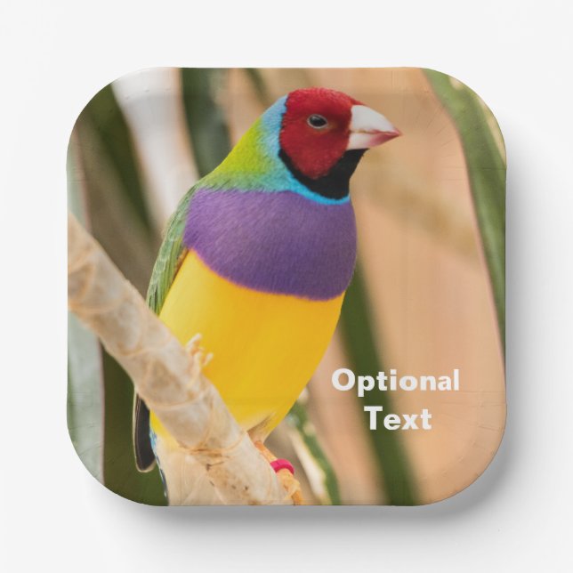 Plato De Papel Lady Gouldian Finch (Anverso)