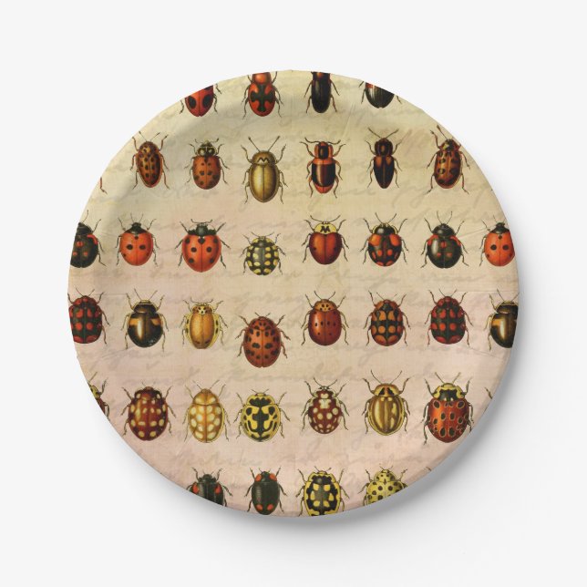 Plato De Papel Ladybug Ladybird Beetle Insect Bug (Anverso)