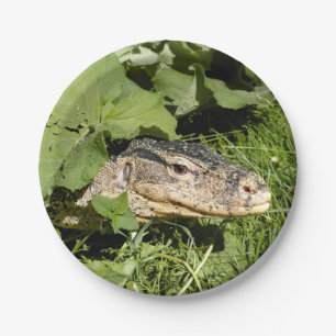 Plato De Papel Lagarto de monitor de agua