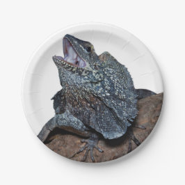 Plato De Papel lagarto del Frilled-cuello