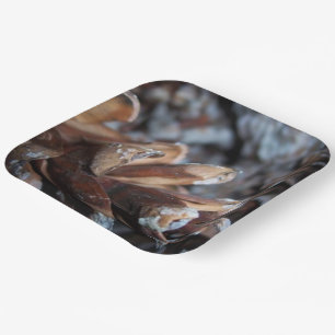 Plato De Papel Las pineconas caen al servicio de la naturaleza ot