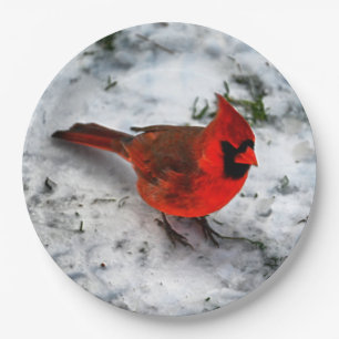 Plato De Papel Las plumas del cardenal rojo y el desplome
