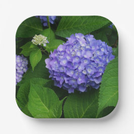 Plato De Papel Lavender Hydrangea
