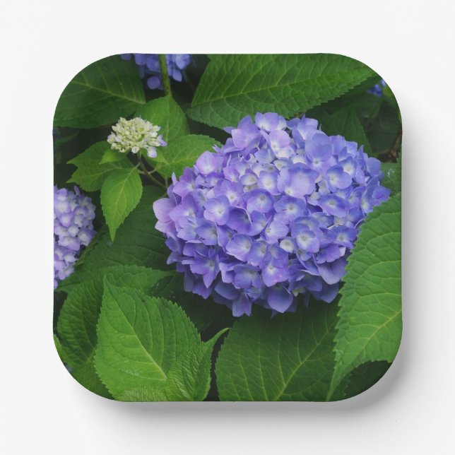 Plato De Papel Lavender Hydrangea (Anverso)