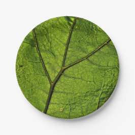 Plato De Papel Leaf. Butterbur verde