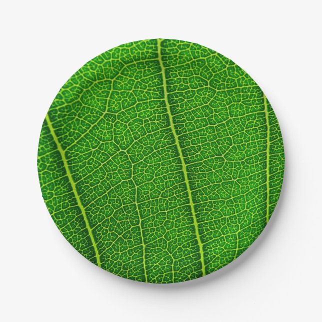 Plato De Papel Leaf de árbol verde (Anverso)